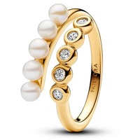 Pandora Damenring Pandora Timeless 163146C01-54 - gold - 54