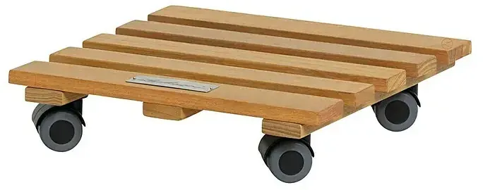 lechuza palo
