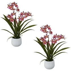 CREATIV green künstliche Pflanze Cambria-Orchidee, 50 cm, 2er Set