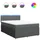 vidaXL Boxspringbett 160 x 200 cm Dunkelgrau