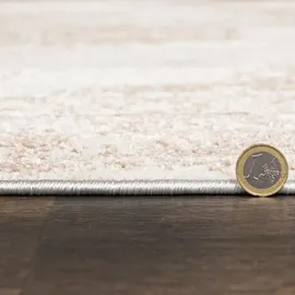 mazovia Teppich Beige Modern Vintage - Wohnzimmer, Esszimmer, ® Zertifikat, Braun - 200 x 300 cm