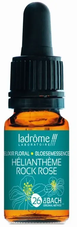 Ladrôme Helianthème Nr. 26