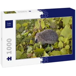 Lais Puzzle Igel 1000 Teile