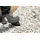 Haix CONNEXIS Safety+ GTX mid Größe 6.5 40 -