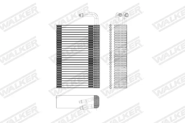 WALKER wev00041 für ALPINA