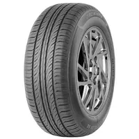 Fronway Ecogreen 66 195/55 R16 87V