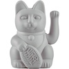 Products Lucky Cat Grey