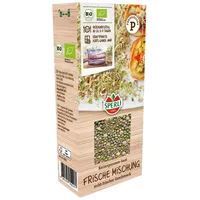 Sperli 85027 Keimsprossen-saat Frische Mischung Gemüsesamen -