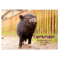 Calvendo Tierkinder (Wandkalender 2026 DIN A3 quer), CALVENDO Monatskalender