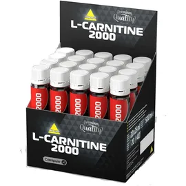 INKOSPOR Active L-Carnitine 2000 Ampullen 20 x 25 ml