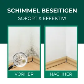 Silberkraft Schimmelentferner 2 x 500 ml