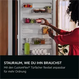 AEG TK6FS181CC Einbaukühlschrank (307 l, 1769 mm hoch)