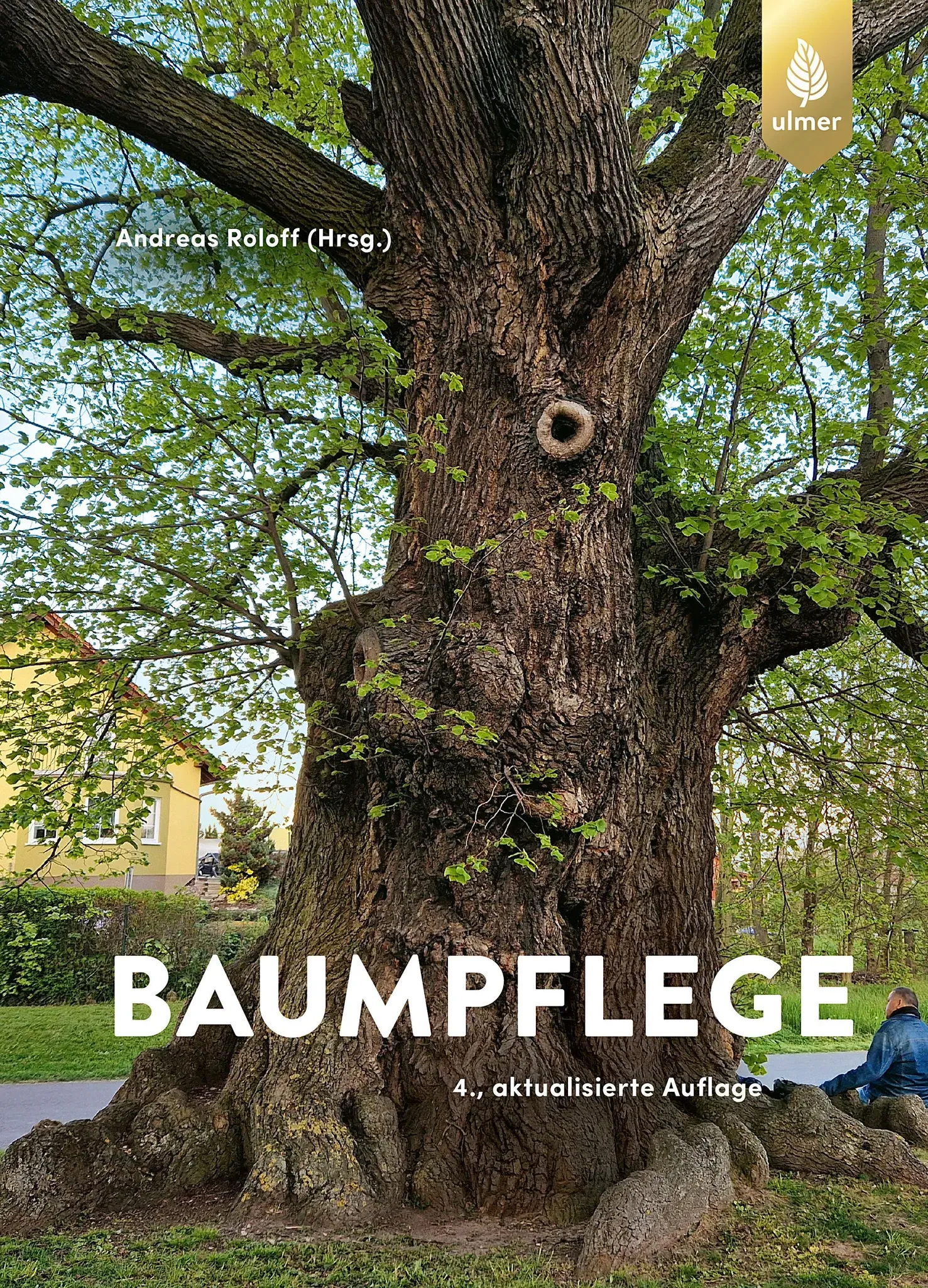 Baumpflege, Baumbiologische Grundlagen und Anwendungen