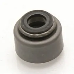 Centauro Ventilschaftdichtungen - 10er-Set