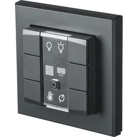 eQ-3 Homematic IP Smart Home Wandtaster HmIP-WRC2-A, 2-fach, anthrazit