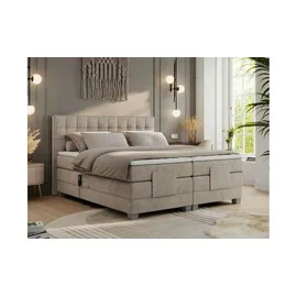 MKS Meble Boxspringbett 200 x 200 cm H4 Beige