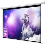 celexon basic 100" Zoll Motor-Leinwand 4:3 | 200x150cm | 4K Full HD 3D | elektrische Leinwand für Beamer-Projektionen