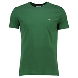 Lacoste T-Shirt (1 tlg.), grün