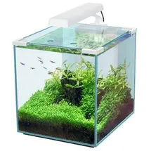 Aquatlantis Nano Cubic 30, Weiß