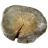Ehl Trittplatte Baumscheibe (Naturbraun, Durchmesser: 300 mm - 450 mm, Stonewood, Beton)