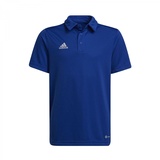 Adidas Unisex ENT22 Y Polo Shirt, Team royal Blue, 140