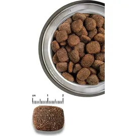 Belcando Adult Active 2 x 12,5 kg