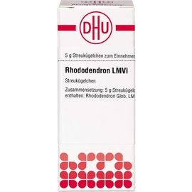 DHU-ARZNEIMITTEL RHODODENDRON LM VI