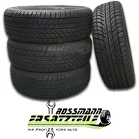 Profil Wintermaxx (heißrunderneuert) 3PMSF 215/45R17 87H Reifen Winter PKW