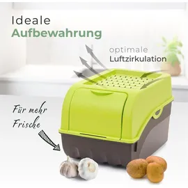 Novaliv Aufbewahrungsbox 5L 1-tlg. grün