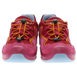 Lowa Robin Evo GTX Lo 38