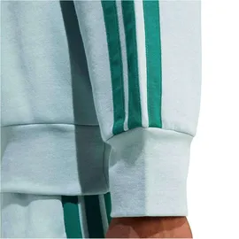 adidas Sweatshirt Wonder Sage/Collegiate Green XL