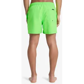 QUIKSILVER Everyday Solid Volley 15 Badeshorts Grün XXL