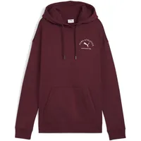 Puma Class Relaxed Hoodie Ruby Shimmer XL