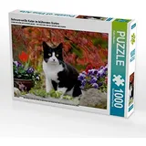 Calvendo Schwarz-weiße Katze im blühenden Garten Puzzle