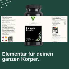 vita elements nature's power Vita Elements Curcuma Extrakt Kapseln 90 St.