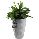 Kadax 29 x 29 x 48,5 cm Grau