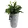 Kadax 29 x 29 x 48,5 cm Grau