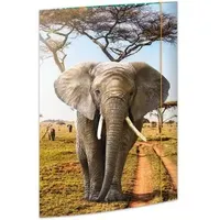 RNK Gummizugmappe A3 Elefant 45377