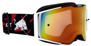 Red Bull Spect Torp Motocrossbrille