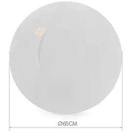 Sitting Ball ALFA Anthrazit 65 cm