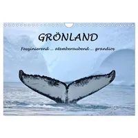 Calvendo Grönland Faszinierend atemberaubend grandios (Wandkalender 2026 DIN A4