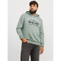 Jack & Jones PlusSize Hoodie »JJELOGO SWEAT HOOD 2