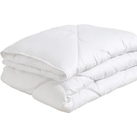 fan Microfaserbettdecke FAN "Microfaser kochfest, Bettdecken für Sommer und Winter, Decke", weiß, B:135cm L:200cm, Bezug: 100% Polyester.