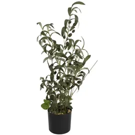 Europalms Olivenbäumchen, Kunstpflanze, 68 cm