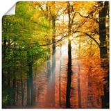Artland Wandbild »Schöner Herbsttag 2«, Wald, (1 St.), als Alubild, Outdoorbild, Leinwandbild, Poster in verschied. Größen, braun