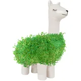 Gift Republic - Lama Pflanztier | Das Keramik, zum Chia Samen Züchten | Anzuchtschale in Lama Form | Chia Seeds Starter Kit | Llama Plant set | Geschenk an Weihnachten, Geburtstag, Hochzeit