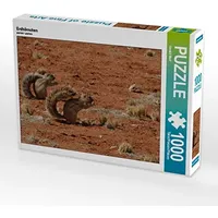 Calvendo Erdhörnchen Puzzle