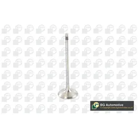 BGA Einlassventil v090105