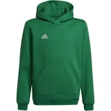 Adidas Entrada 22 Sweat Hoodie Kinder - team green/white, 116