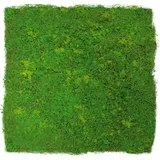 JANGAL Wandpaneel Jangal Modular Wall Hellgrün 2 St. 52 x 52 cm
